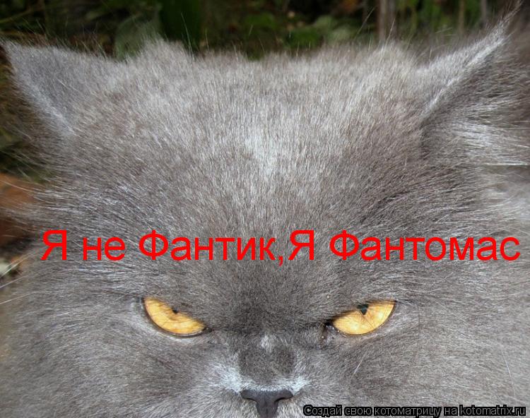 Котоматрица: Я не Фантик,Я Фантомас