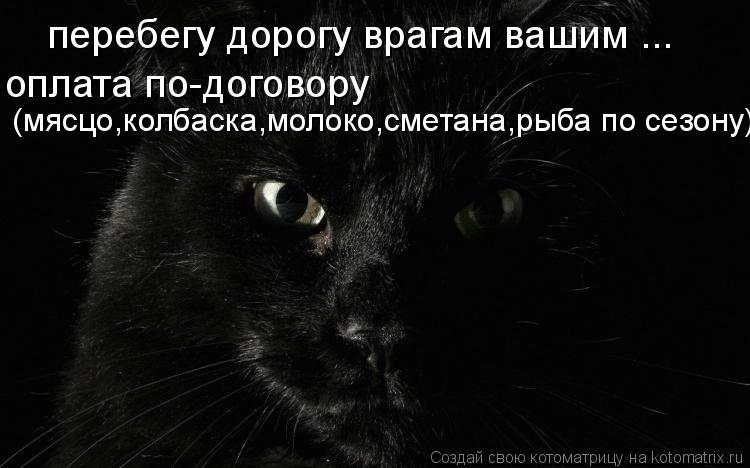 Котоматрица: перебегу дорогу врагам вашим ... оплата по-договору   (мясцо,колбаска,молоко,сметана,рыба по сезону)