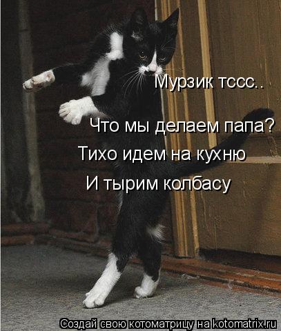 Котоматрица: Мурзик тссс.. Что мы делаем папа? Тихо идем на кухню  И тырим колбасу