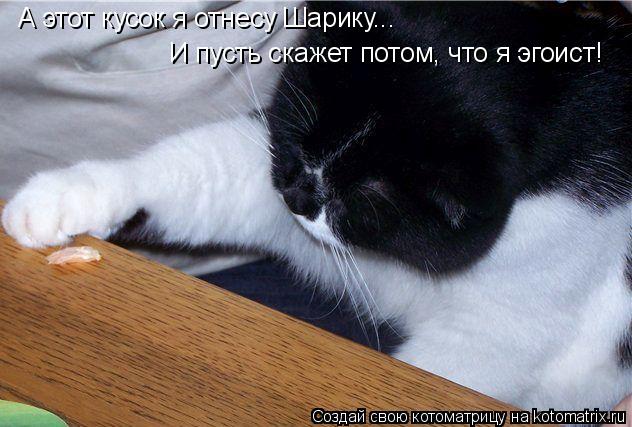 А этот кусок я отнесу Шарику... И пусть скажет потом, что я эгоист!... Котоматрица: А этот кусок я отнесу Шарику... И пусть скажет потом, что я эгоист!