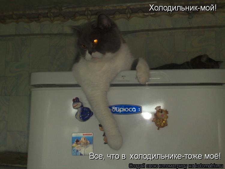 Котоматрица: Холодильник-мой! Все, что в  холодильнике-тоже моё!
