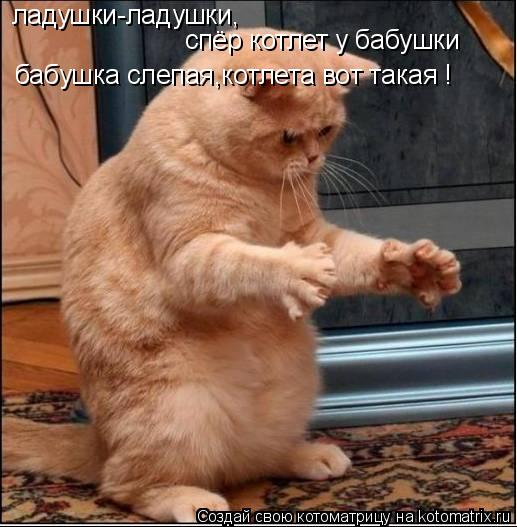 ладушки-ладушки, спёр котлет у бабушки бабушка слепая,котлета вот такая !... Котоматрица: ладушки-ладушки, спёр котлет у бабушки бабушка слепая,котлета вот такая !