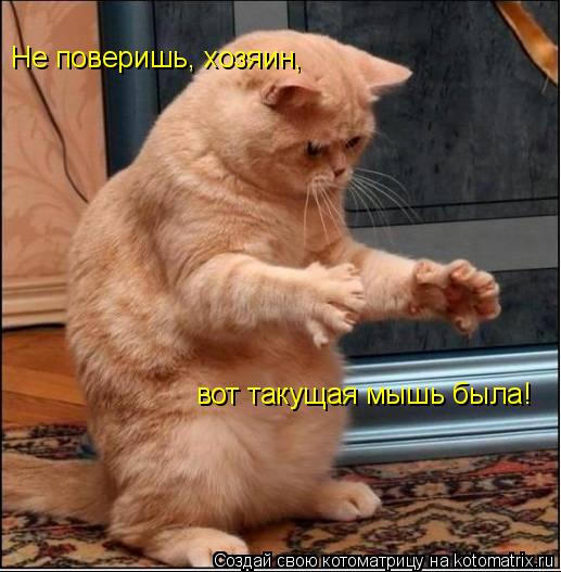 Котоматрица: Не поверишь, хозяин, вот такущая мышь была!