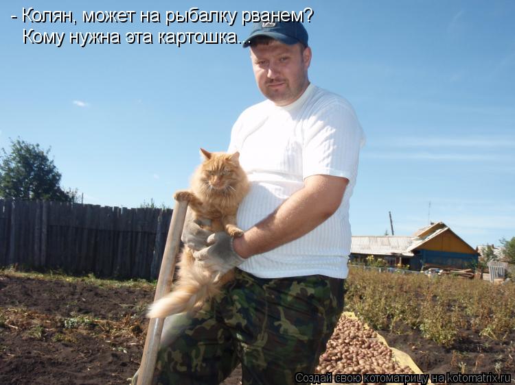 Котоматрица: - Колян, может на рыбалку рванем?  Кому нужна эта картошка...
