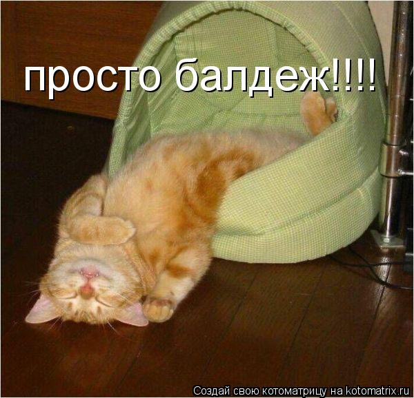 Котоматрица: просто балдеж!!!!