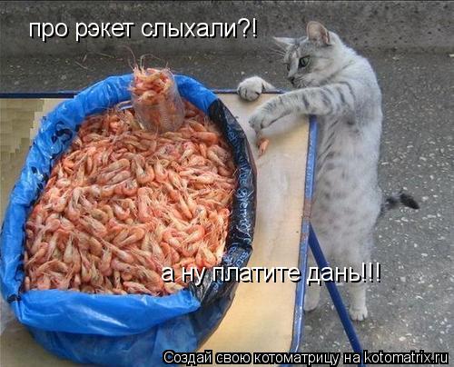Котоматрица: про рэкет слыхали?! а ну платите дань!!!