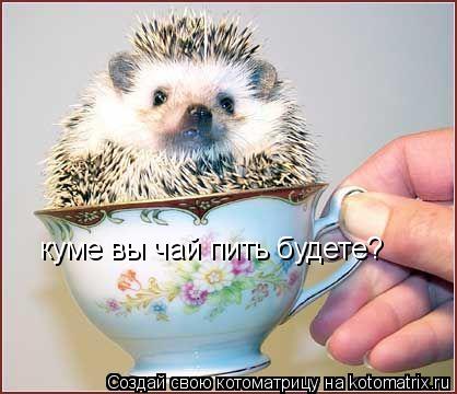 Котоматрица: куме вы чай пить будете?