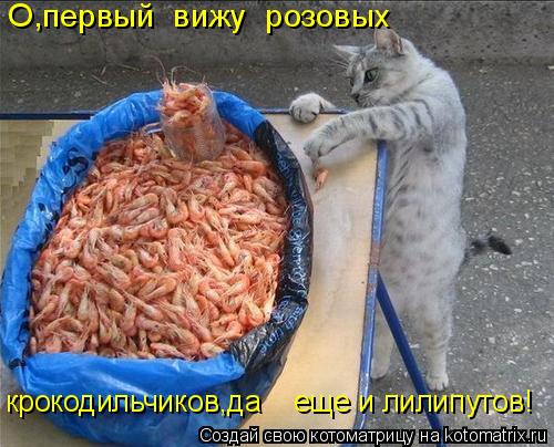 Котоматрица: О,первый  вижу  розовых   крокодильчиков,да    еще и лилипутов!