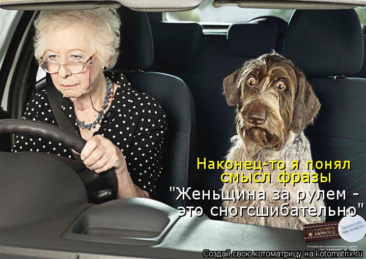 Котоматрица: Наконец-то я понял  смысл фразы "Женьщина за рулем -  это сногсшибательно"