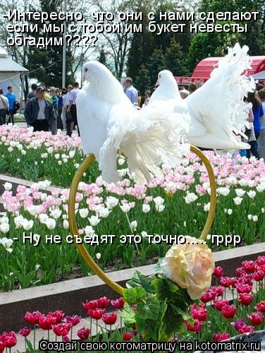 Котоматрица: если мы с тобой им букет невесты обгадим???? - Ну не съедят это точно..... гррр -Интересно, что они с нами сделают