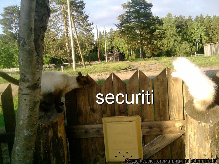 Котоматрица: securiti