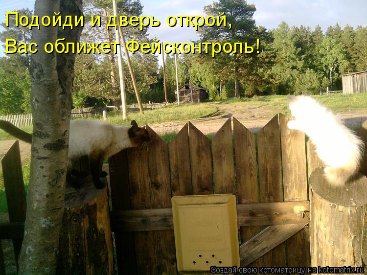 Подойди и дверь открой, Вас оближет Фейсконтроль!... Котоматрица: Подойди и дверь открой, Вас оближет Фейсконтроль!