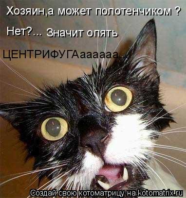 Котоматрица: Хозяин,а может полотенчиком ? Нет?... Значит опять ЦЕНТРИФУГАаааааа...