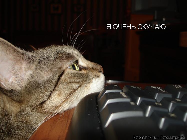 Котоматрица: Я ОЧЕНЬ СКУЧАЮ...
