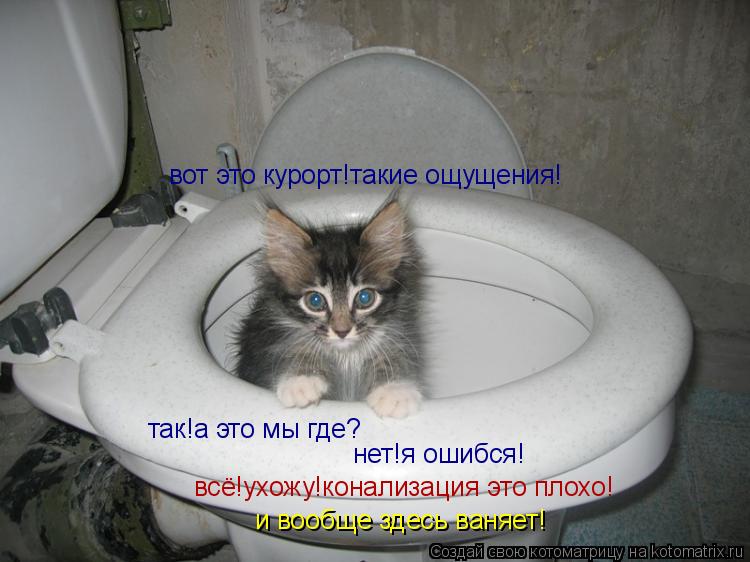 Котоматрица: вот это курорт!такие ощущения! так!а это мы где? нет!я ошибся! всё!ухожу!конализация это плохо! и вообще здесь ваняет!