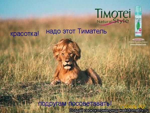 Котоматрица: красотка! надо этот Тиматель подругам посоветавать!