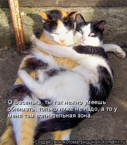 Котоматрица: - О Васенька, ты так нежно умеешь  обнимать, только ниже не надо, а то у  меня там волнительная зона......