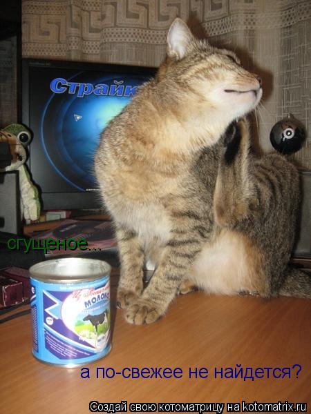 сгущеное... а по-свежее не найдется?... Котоматрица: сгущеное... а по-свежее не найдется?