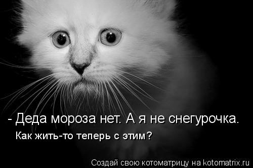 - Деда мороза нет. А я не снегурочка. Как жить-то теперь с этим?... Котоматрица: - Деда мороза нет. А я не снегурочка. Как жить-то теперь с этим?