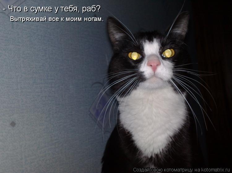 - Что в сумке у тебя, раб? Вытряхивай все к моим ногам.... Котоматрица: - Что в сумке у тебя, раб? Вытряхивай все к моим ногам.