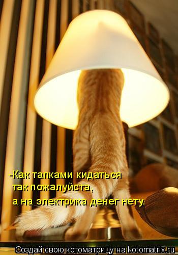 -Как тапками кидаться так пожалуйста, а на электрика денег нету.... Котоматрица: -Как тапками кидаться так пожалуйста, а на электрика денег нету.