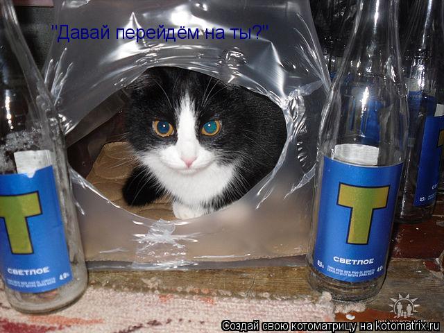 "Давай перейдём на ты?"... Котоматрица: "Давай перейдём на ты?"