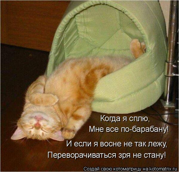 Когда я сплю, Мне все по-барабану! И если я восне не так лежу, Переворачиваться зря не стану!... Котоматрица: Когда я сплю, Мне все по-барабану! И если я восне не так лежу, Переворачиваться зря не стану!