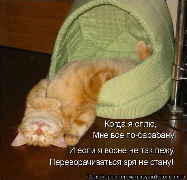 Котоматрица: Когда я сплю,  Мне все по-барабану! И если я восне не так лежу, Переворачиваться зря не стану!