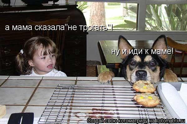 а мама сказала"не трогать"! ну и иди к маме!... Котоматрица: а мама сказала"не трогать"! ну и иди к маме!