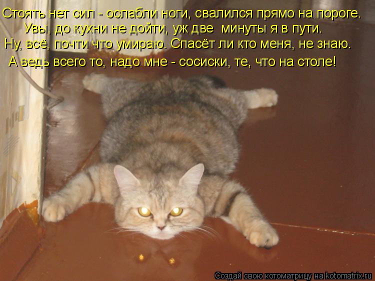 Стоять нет сил - ослабли ноги, свалился прямо на пороге. Увы, до кухни не дойти, уж две минуты я в ... Котоматрица: Стоять нет сил - ослабли ноги, свалился прямо на пороге. Увы, до кухни не дойти, уж две минуты я в пути. Ну, всё, почти что умираю. Спасёт ли кт