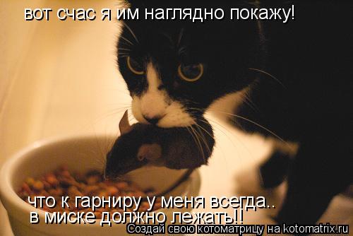 вот счас я им наглядно покажу! что к гарниру у меня всегда.. в миске должно лежать!!... Котоматрица: вот счас я им наглядно покажу! что к гарниру у меня всегда.. в миске должно лежать!!
