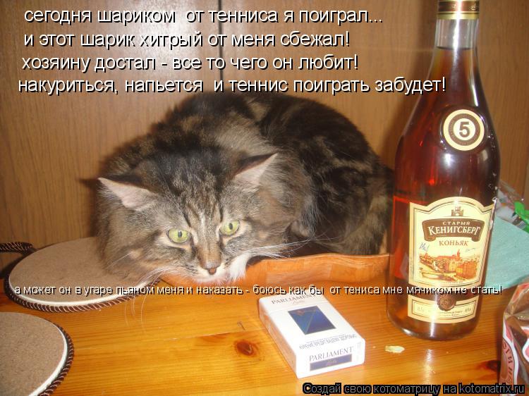 сегодня шариком от тенниса я поиграл... и этот шарик хитрый от меня сбежал! хозяину достал - все то ... Котоматрица: сегодня шариком от тенниса я поиграл... и этот шарик хитрый от меня сбежал! хозяину достал - все то чего он любит! накуриться, напьется и тенн