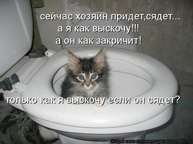 сейчас хозяин придет,сядет... а я как выскочу!!! а он как закричит! только как я выскочу если он сяде... Котоматрица: сейчас хозяин придет,сядет... а я как выскочу!!! а он как закричит! только как я выскочу если он сядет?