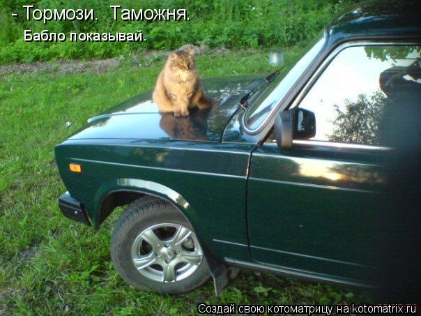 - Тормози. Таможня. Бабло показывай.... Котоматрица: - Тормози. Таможня. Бабло показывай.