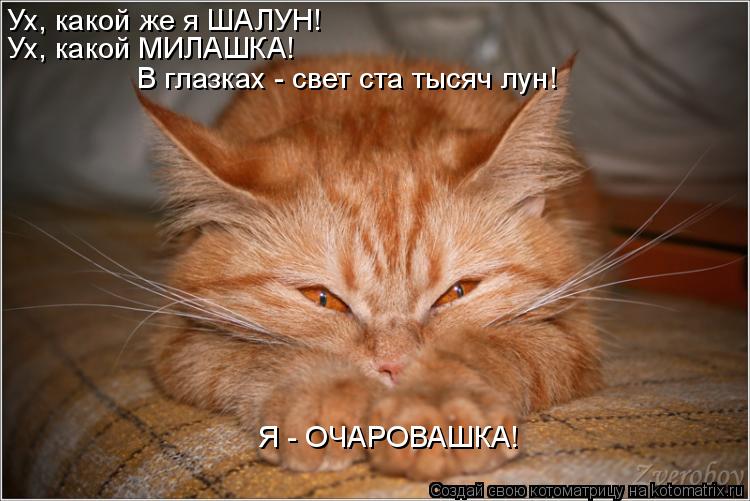 Я - ОЧАРОВАШКА! Ух, какой же я ШАЛУН! Ух, какой МИЛАШКА! В глазках - свет ста тысяч лун!... Котоматрица: Я - ОЧАРОВАШКА! Ух, какой же я ШАЛУН! Ух, какой МИЛАШКА! В глазках - свет ста тысяч лун!