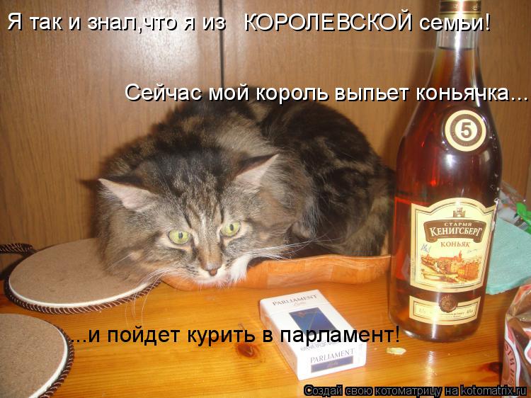 Я так и знал,что я из КОРОЛЕВСКОЙ семьи! Сейчас мой король выпьет коньячка... ...и пойдет курить в п... Котоматрица: Я так и знал,что я из КОРОЛЕВСКОЙ семьи! Сейчас мой король выпьет коньячка... ...и пойдет курить в парламент!