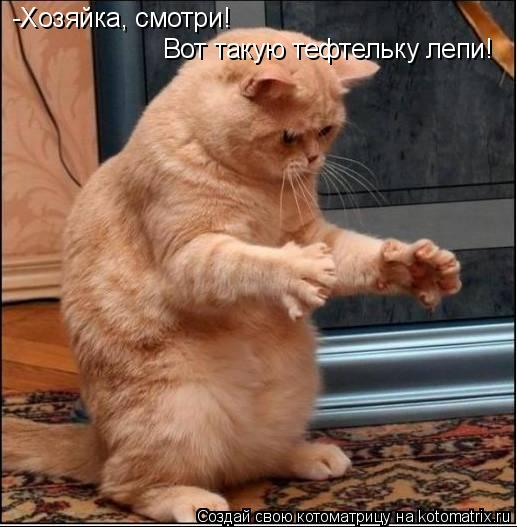 Котоматрица: -Хозяйка, смотри! Вот такую тефтельку лепи!