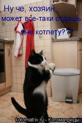 Ну че, хозяин, может все-таки отдашь мне котлету???... Котоматрица: Ну че, хозяин, может все-таки отдашь мне котлету???