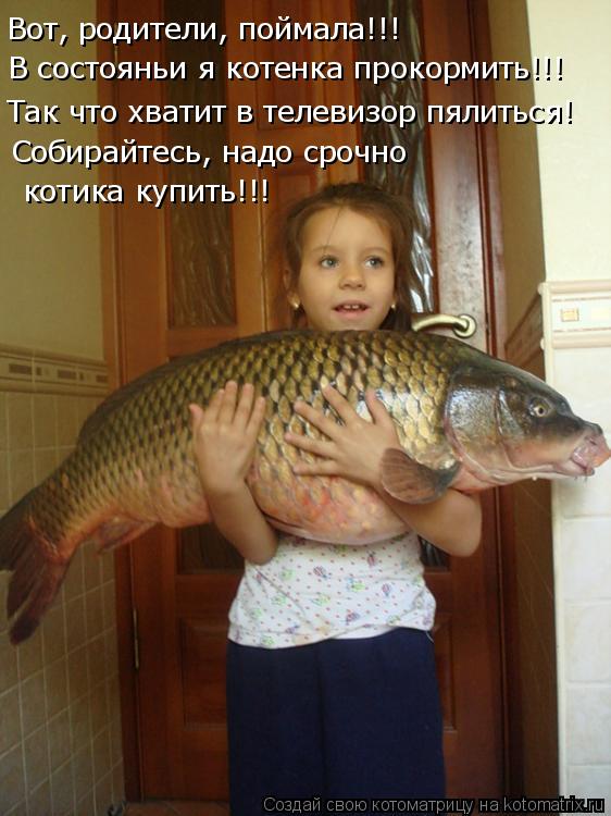 Вот, родители, поймала!!! В состояньи я котенка прокормить!!! Так что хватит в телевизор пялиться! Со... Котоматрица: Вот, родители, поймала!!! В состояньи я котенка прокормить!!! Так что хватит в телевизор пялиться! Собирайтесь, надо срочно котика купить!!!