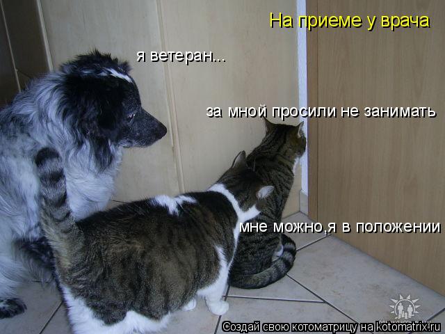 за мной просили не занимать мне можно,я в положении я ветеран... На приеме у врача... Котоматрица: за мной просили не занимать мне можно,я в положении я ветеран... На приеме у врача