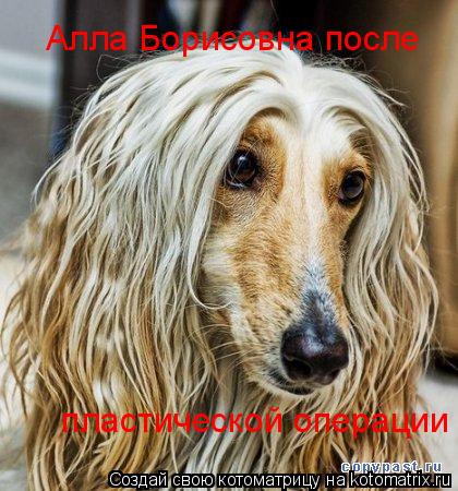 Алла Борисовна после пластической операции... Котоматрица: Алла Борисовна после пластической операции