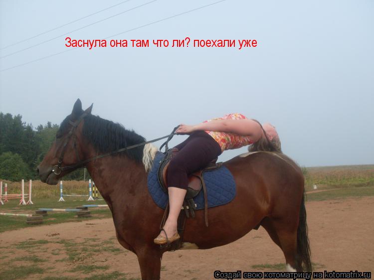 Заснула она там что ли? поехали уже... Котоматрица: Заснула она там что ли? поехали уже