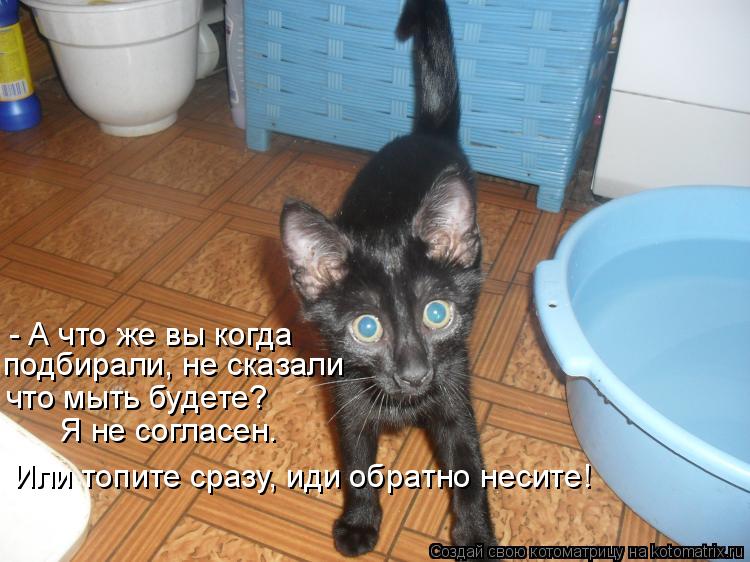 Котоматрица: - А что же вы когда подбирали, не сказали что мыть будете? Я не согласен. Или топите сразу, иди обратно несите!