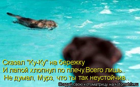 Котоматрица: Сказал "Ку-Ку" на бережку  И лапой хлопнул по плечу.Всего лишь.. Не думал, Мурз, что ты так неустойчив..