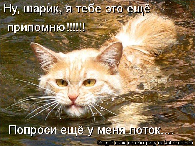 Ну, шарик, я тебе это ещё припомню !!!!!! Попроси ещё у меня лоток....... Котоматрица: Ну, шарик, я тебе это ещё припомню !!!!!! Попроси ещё у меня лоток....