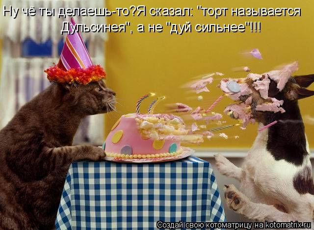 Дульсинея", а не "дуй сильнее"!!! Ну чё ты делаешь-то?Я сказал: "торт называется... Котоматрица: Дульсинея", а не "дуй сильнее"!!! Ну чё ты делаешь-то?Я сказал: "торт называется