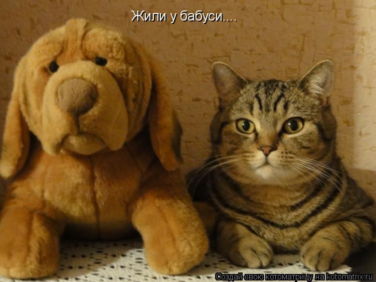 Жили у бабуси....... Котоматрица: Жили у бабуси....