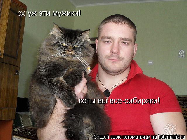 Котоматрица: ох уж эти мужики! коты вы все-сибиряки!