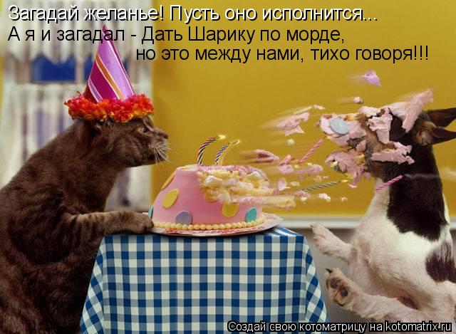 Котоматрица: Загадай желанье! Пусть оно исполнится... А я и загадал - Дать Шарику по морде, но это между нами, тихо говоря!!!