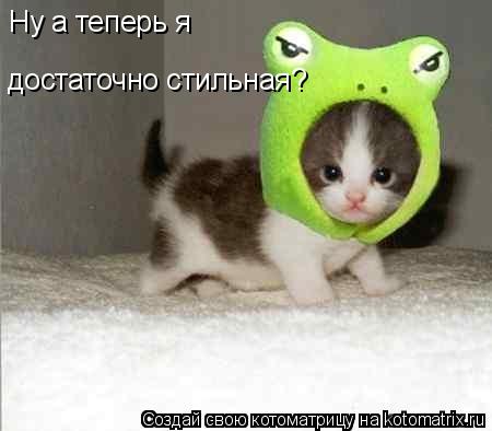Ну а теперь я достаточно стильная?... Котоматрица: Ну а теперь я достаточно стильная?